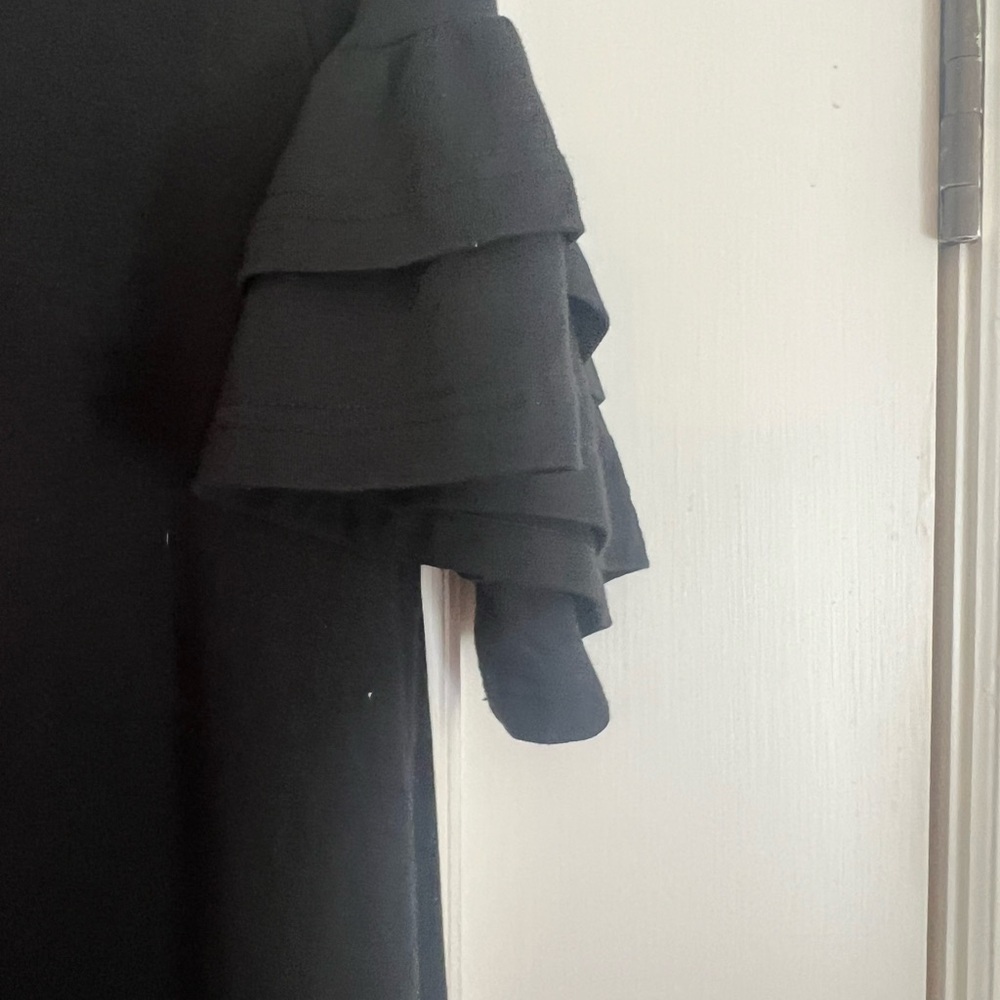 Black Ruffle Sleeve Dress
Final Markdown - Picture 4 of 4